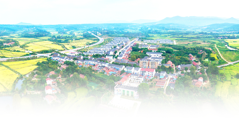 湖北日报京山让美丽乡村摸得着