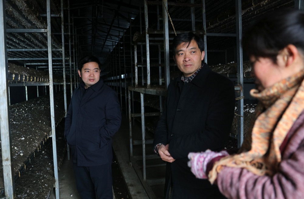 陈俊锋指导曹武镇脱贫攻坚工作