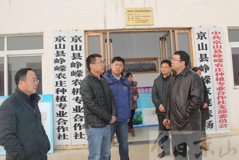 郭启华来京山调研农村共青团工作