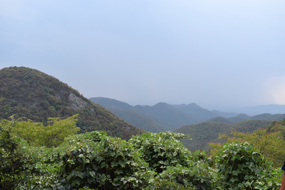 记者走基层:口子村之绿林镇六房村