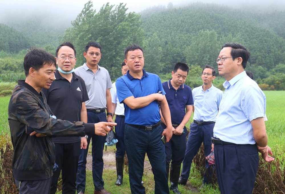 刘启华到石龙镇检查汛情灾情
