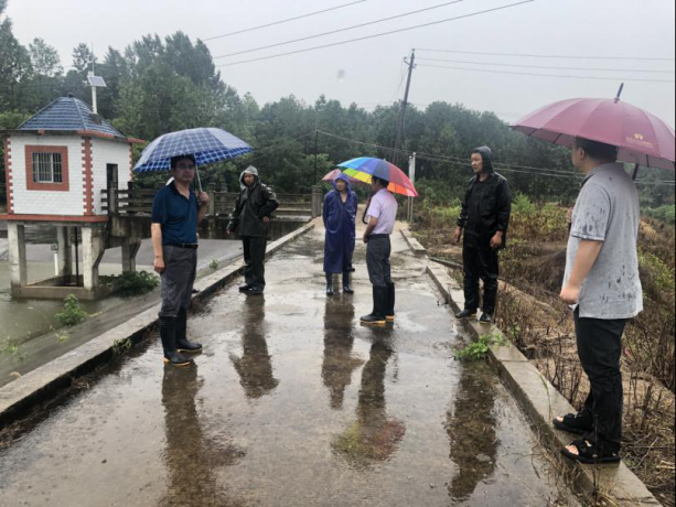 曹武镇牢筑防汛"安全堤"