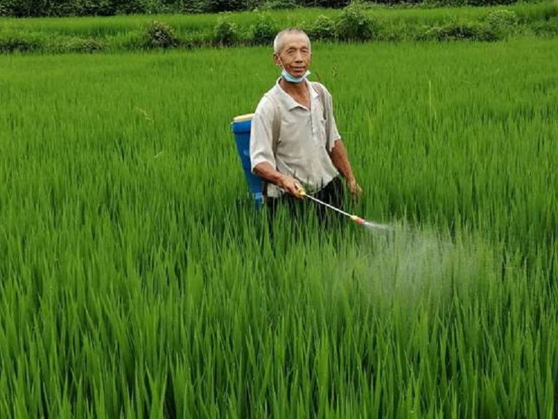 蒋金平:勤恳踏实摘贫帽 自力更生斩穷根