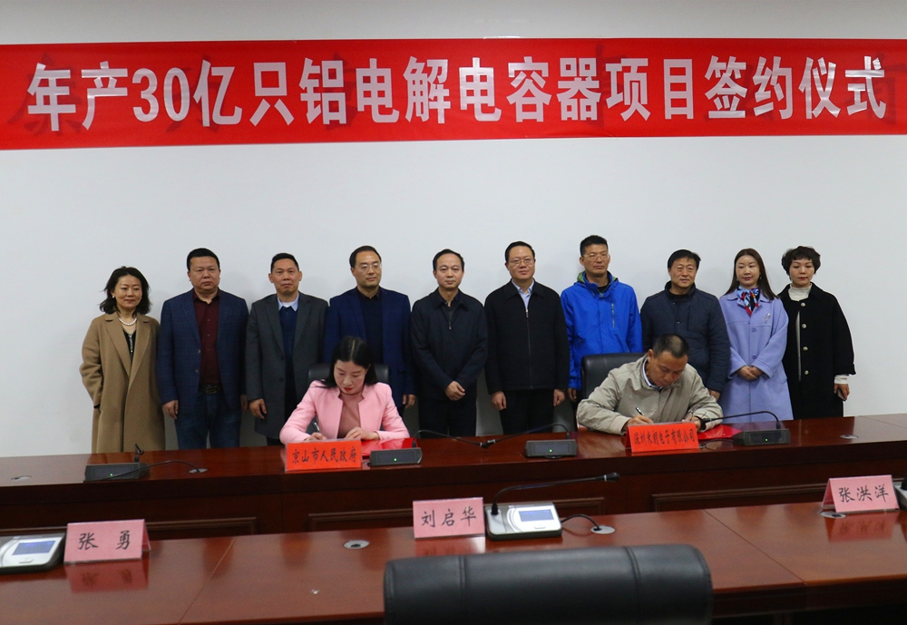 年产30亿只铝电解电容器项目签约