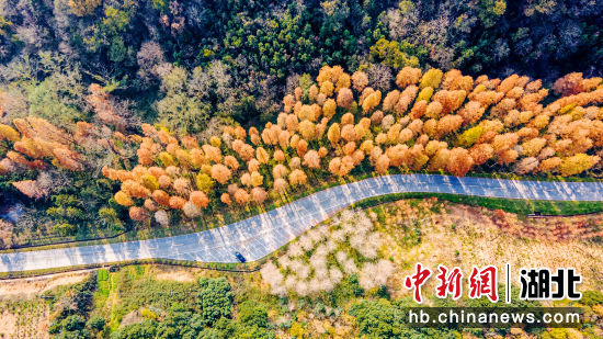 宋河镇发水河村公路