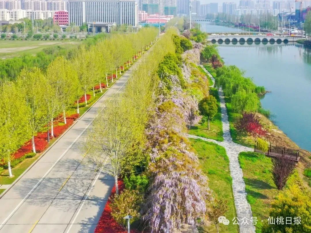 微信图片_20250528102318.jpg