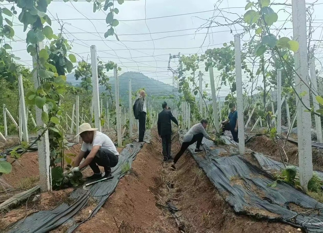 除草