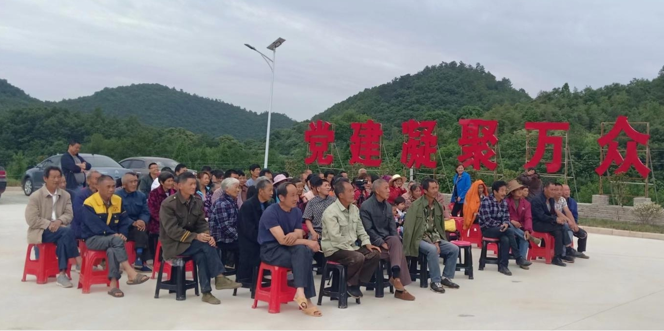 图片13