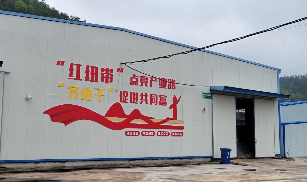 图片11
