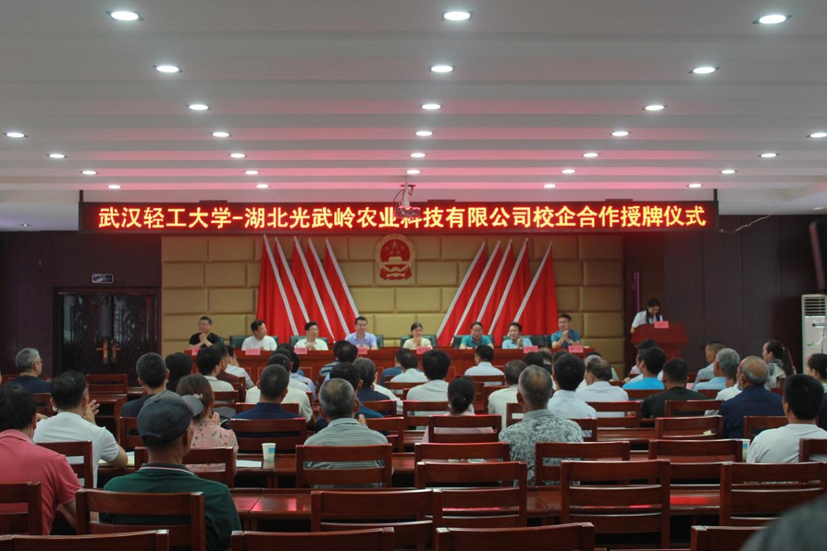 图片6