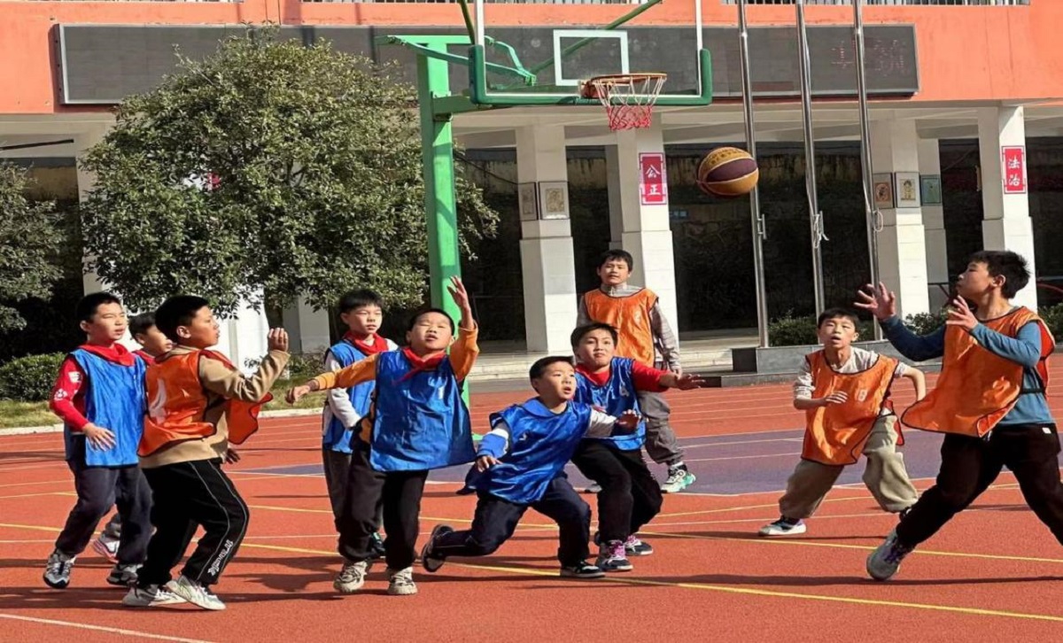 图片1