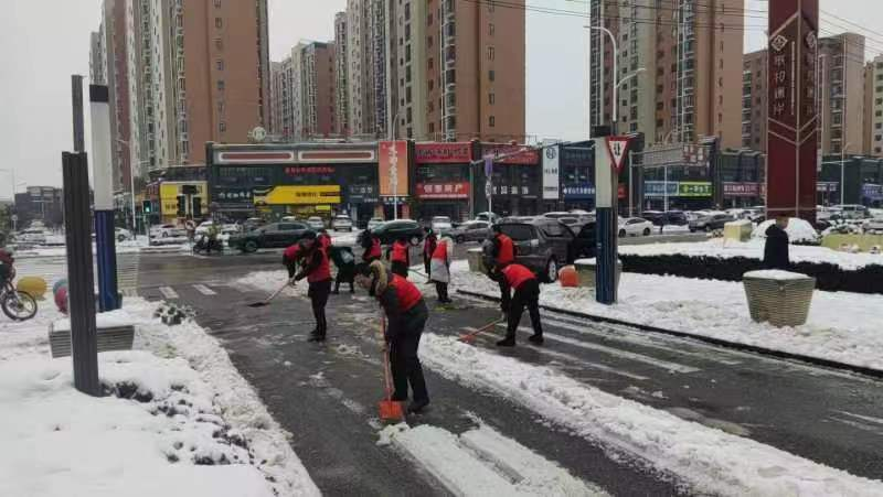 图片15