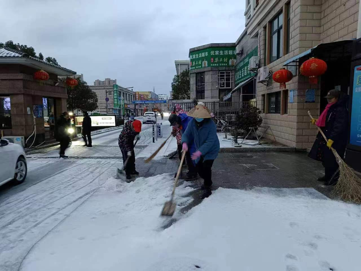 图片3