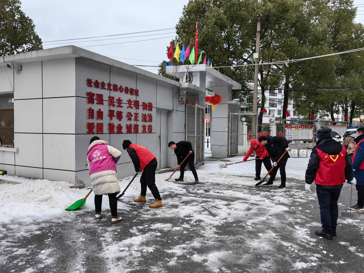 图片16