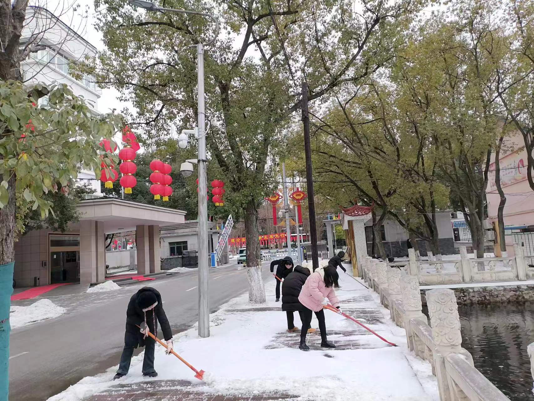 图片21