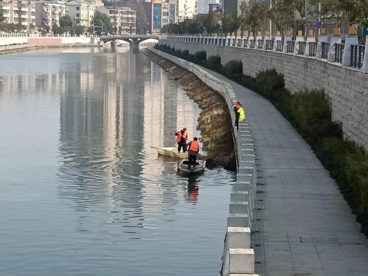 图片7