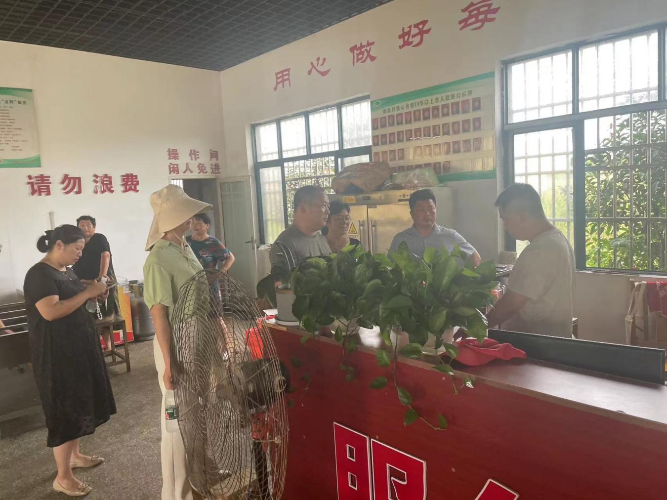 杨2