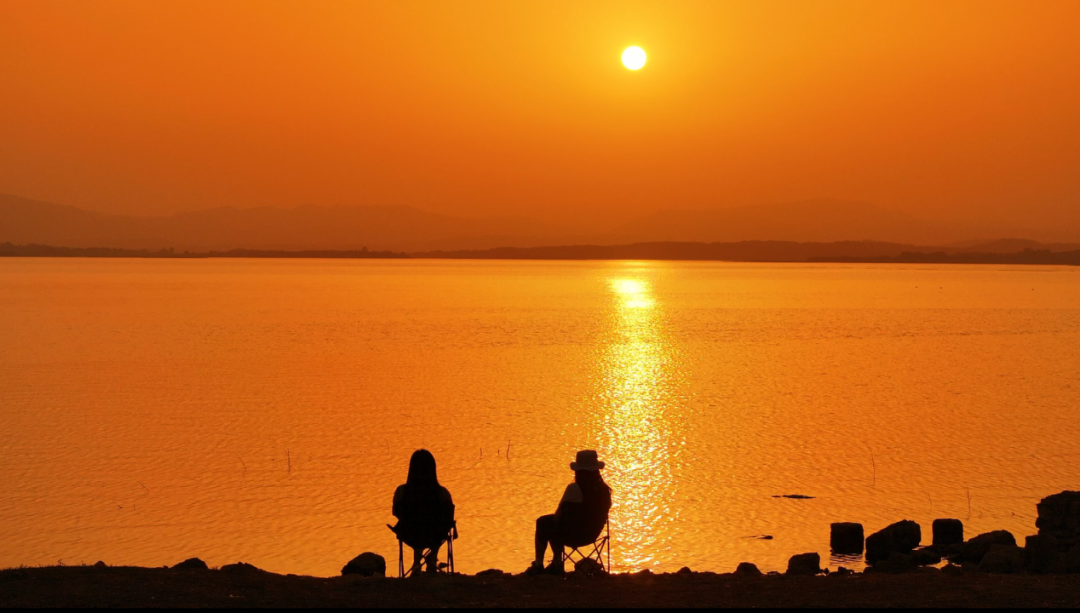 8792654B-22CA-4B0D-9640-19D91B3023C6