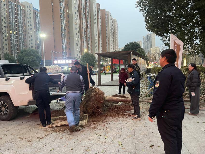 a19910e4-231e-40a5-8c0b-2861a911c391 a19910e4-231e-40a5-8c0b-2861a911c391