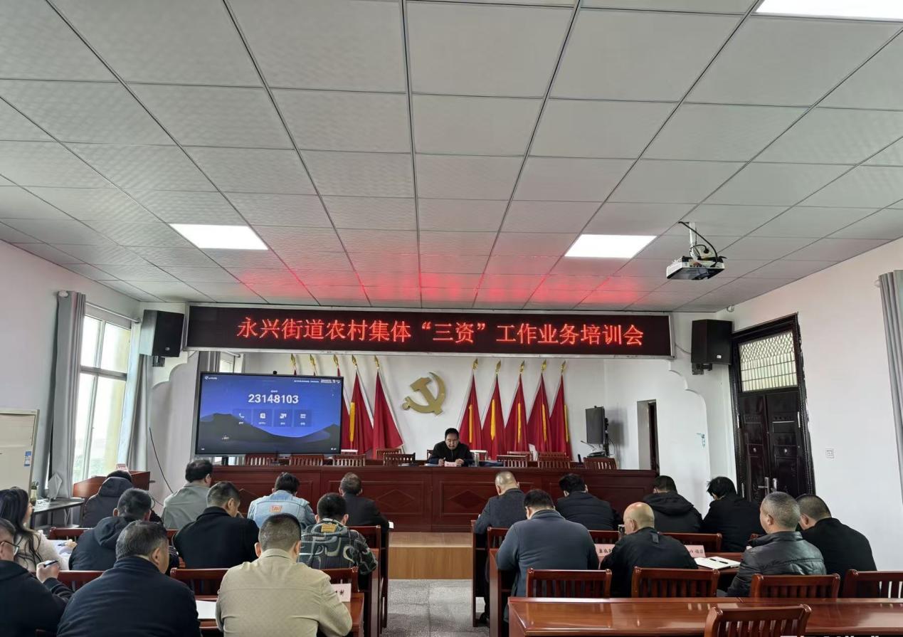 京山市永兴财政所：规范三资管理推动基层治理17eb9254c0782496aa01dc7b062e944f8.jpg