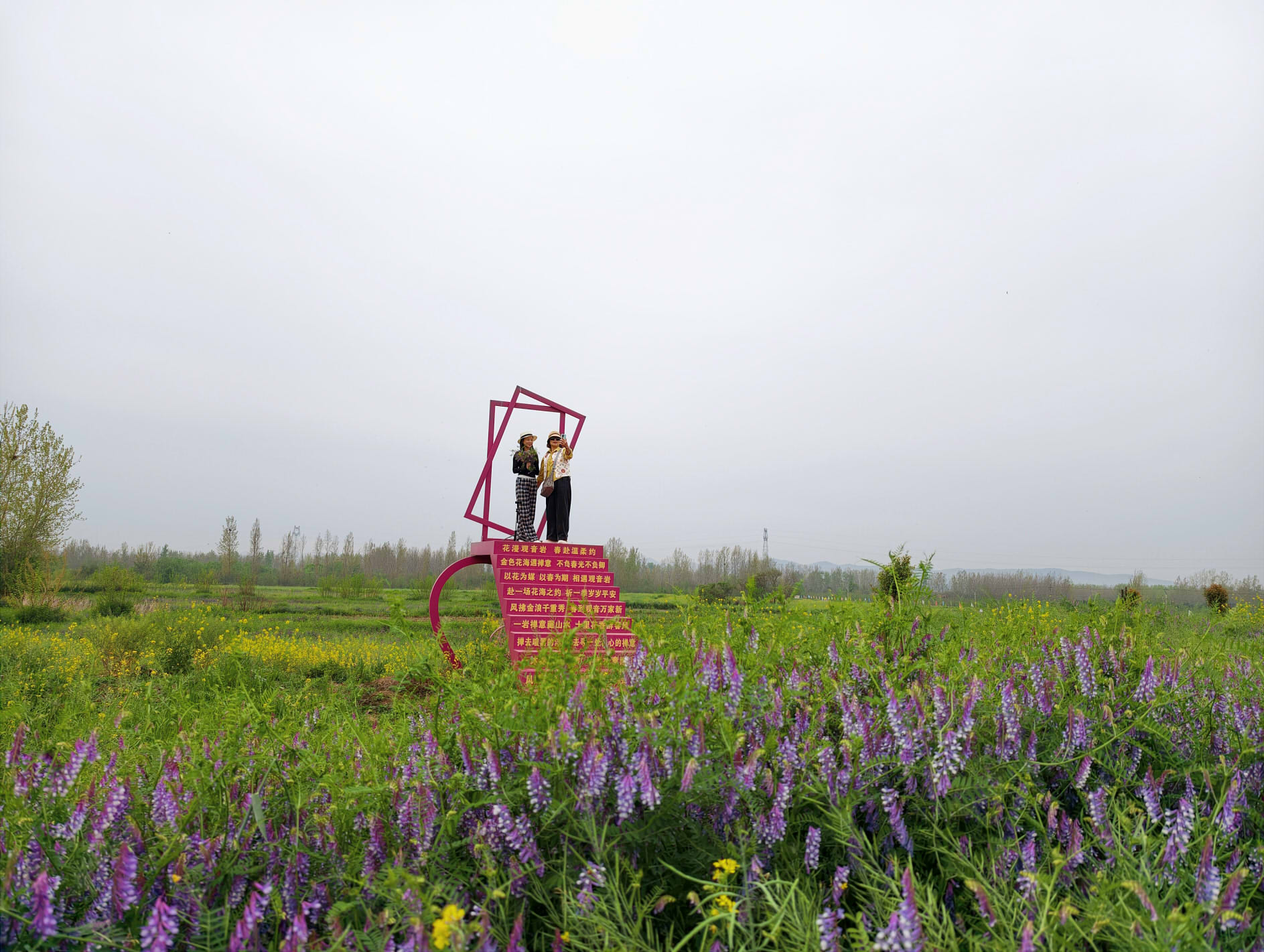 永兴街道举办“花漫观音岩，福泽润人间”赏花游活动A253675f71592e4dcf8f15876dbd23b81e