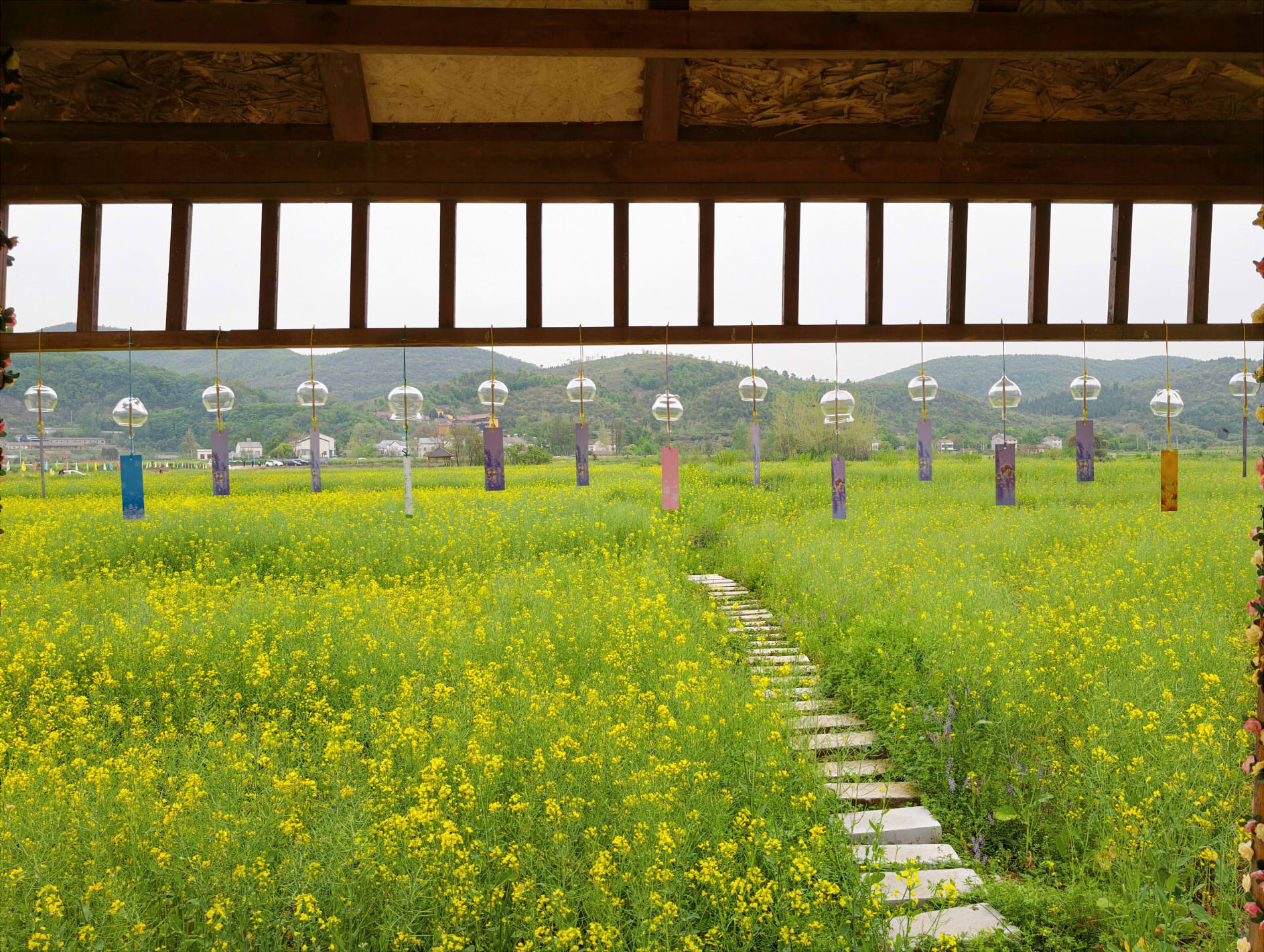 永兴街道举办“花漫观音岩，福泽润人间”赏花游活动A46f98b17a3ac249c5bbd5cf8e05175008