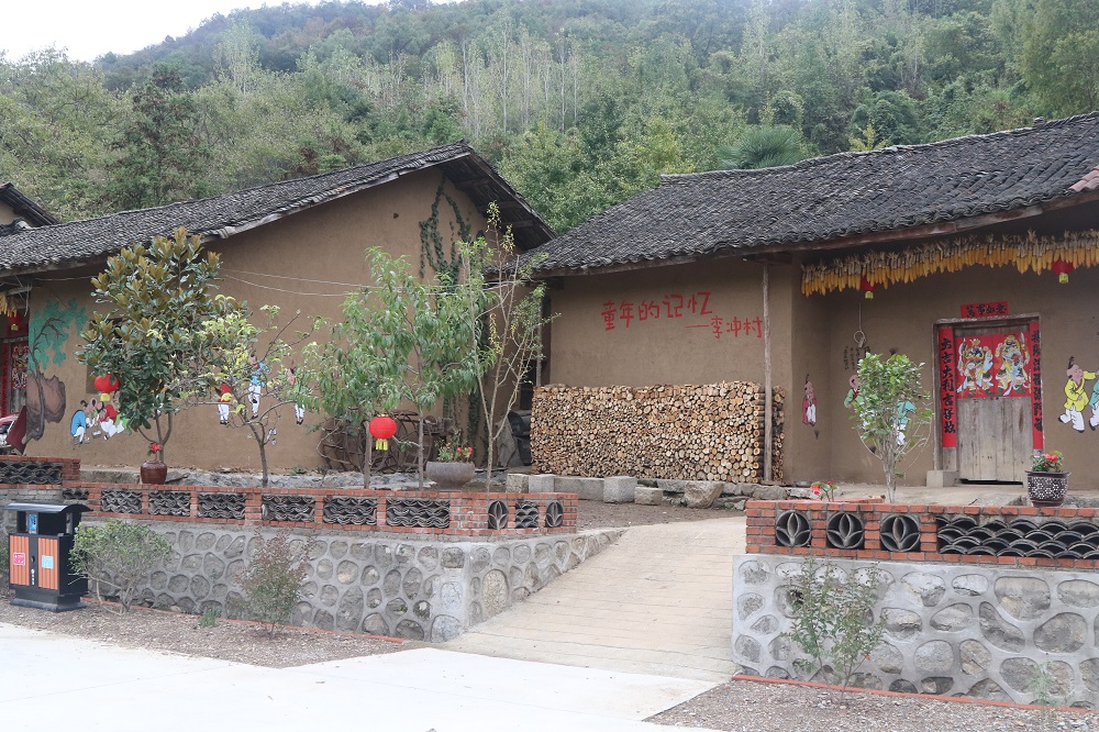 记者走基层美丽乡村进行时之杨集镇李冲村