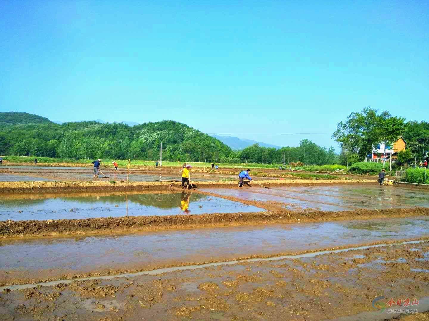 三阳镇春播春种忙