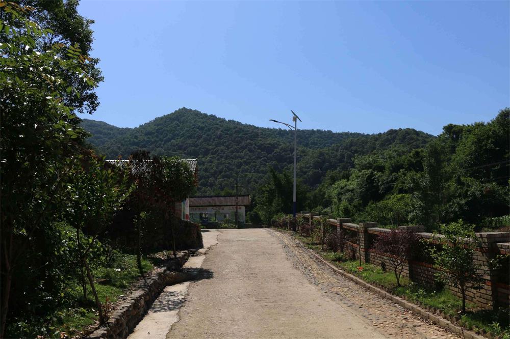 绿林镇吴集村:大山深处的"桃花源"_今日京山新闻网