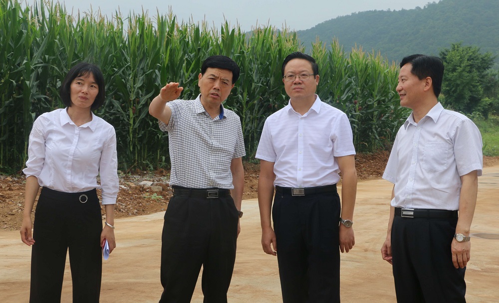 郑中华调研滶河河长制工作