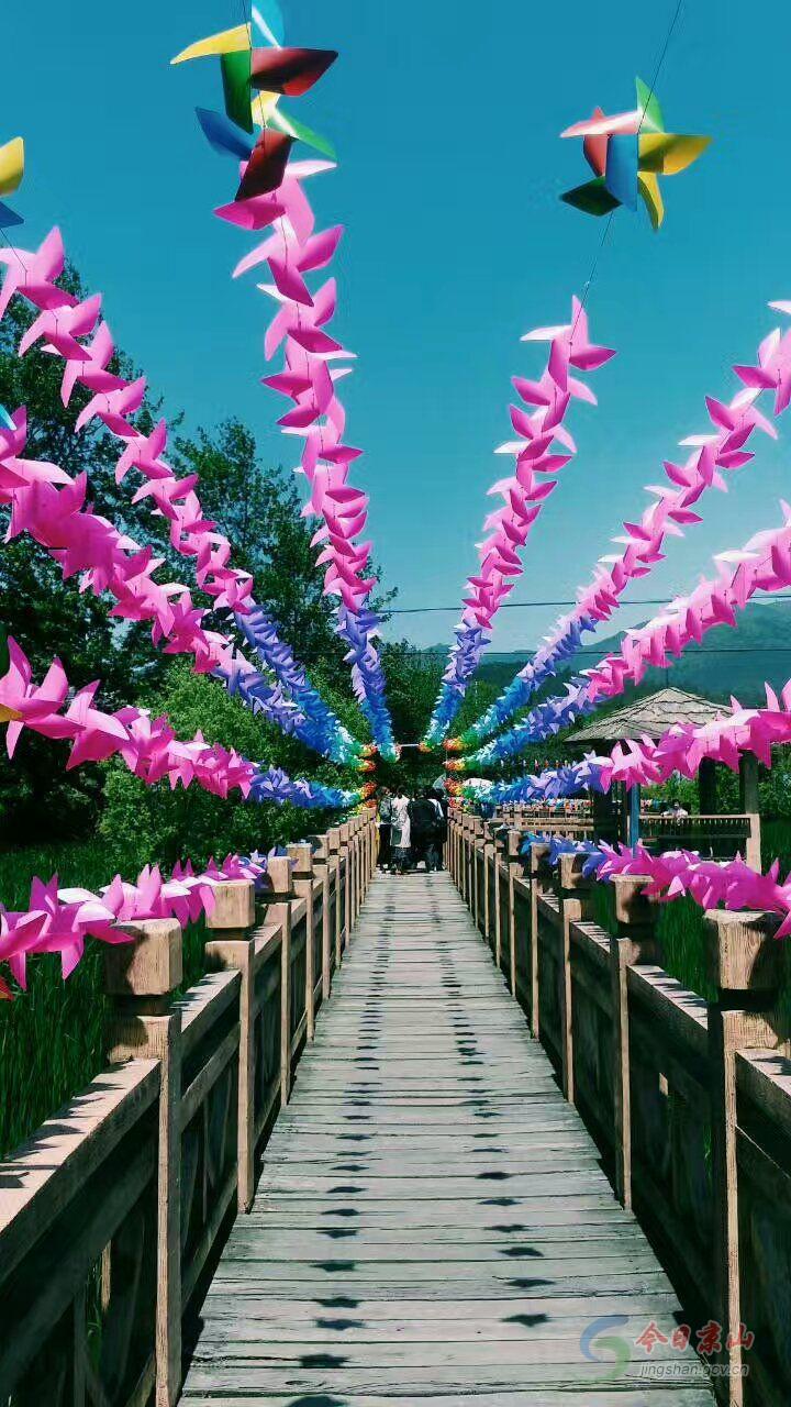 绿林景区风车节引爆游客潮