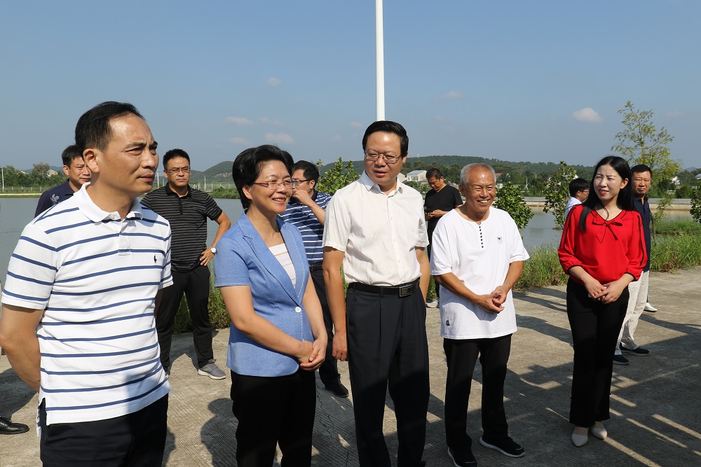 黄勇(左一)在钱场镇盛老汉家庭农场考察67考察团一行先后参观考察了