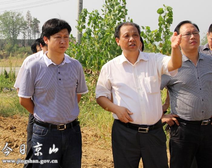 王显祥实地督办待建重点项目