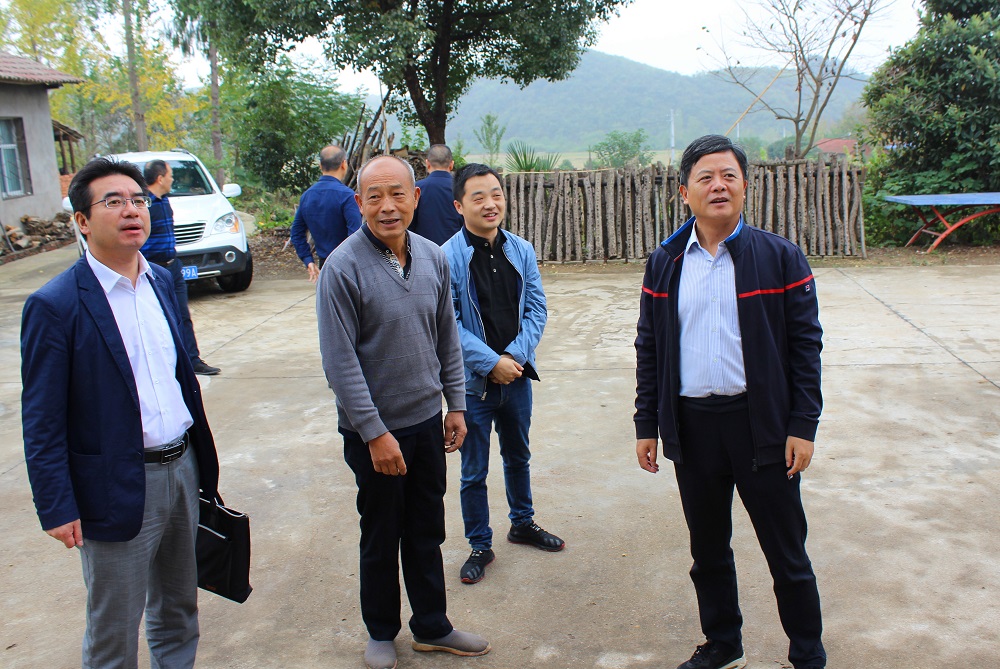 魏明超到三阳和坪坝镇调研精准扶贫工作_今日京山新闻网
