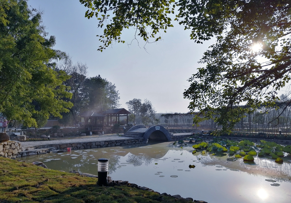 记者走基层:美丽乡村进行时之孙桥镇牛车河村