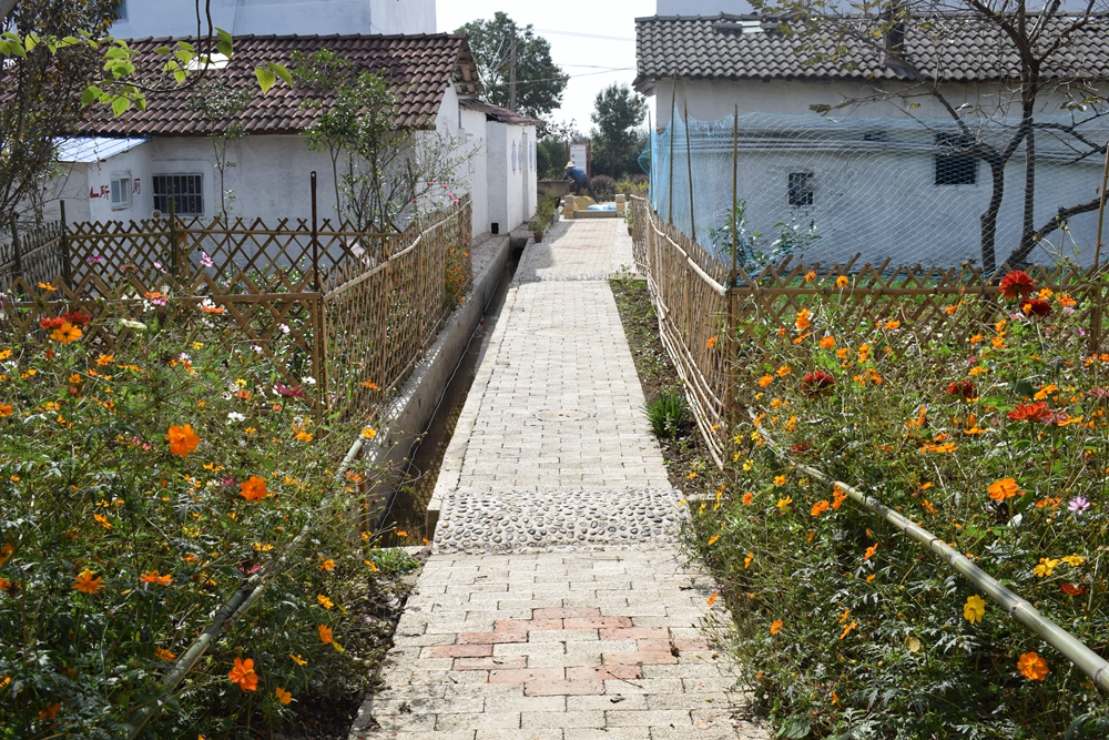 记者走基层:美丽乡村进行时之雁门口镇界子山村