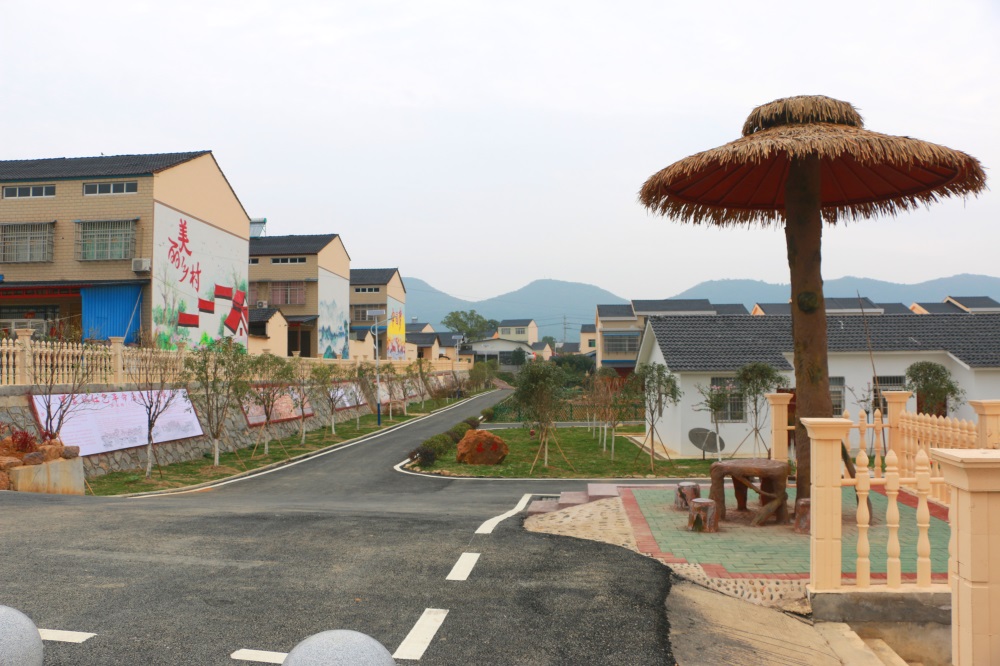 记者走基层:美丽乡村进行时之石龙镇罗家桥村_今日京山新闻网