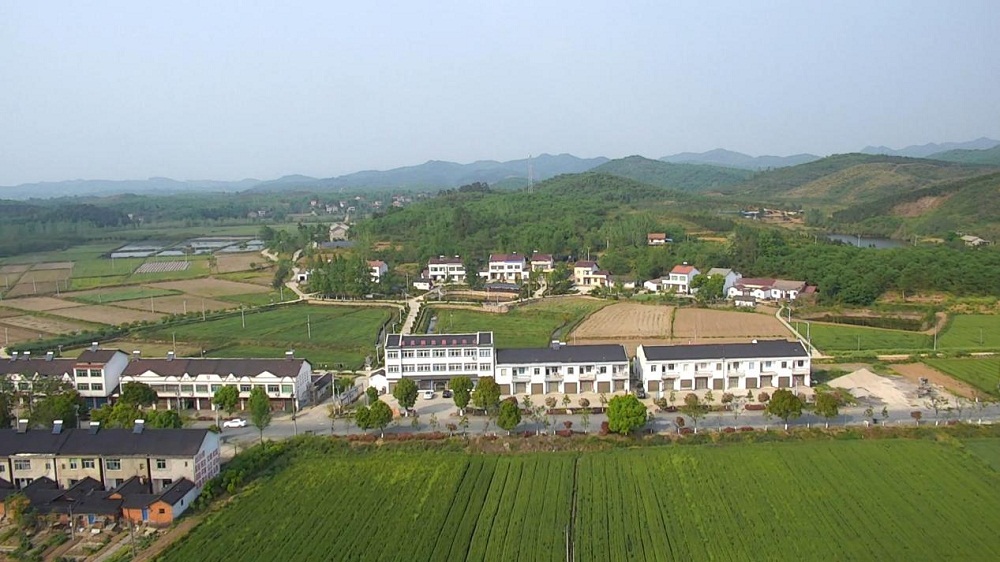 三阳镇三道河村(张中元摄)近日,绿林镇吴集村,绿林镇向集村,新市街道