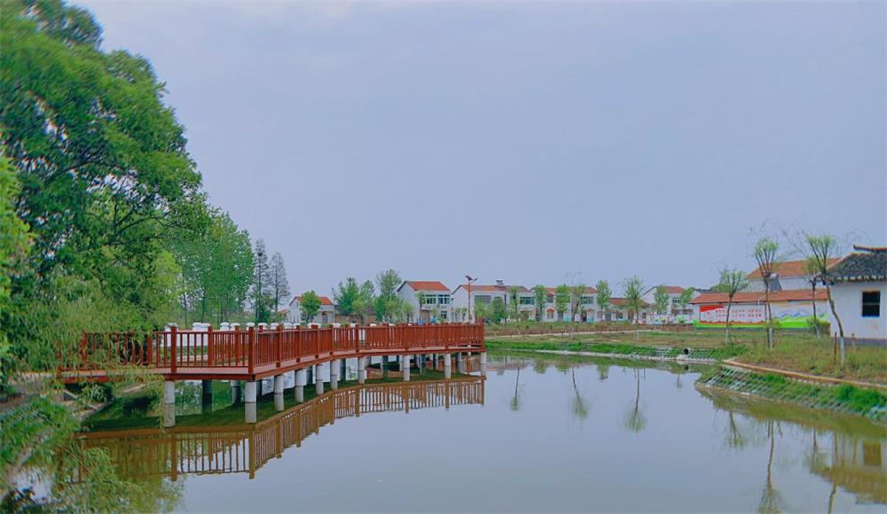 罗店镇美丽乡村别样美_今日京山新闻网