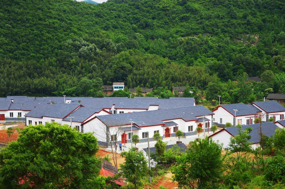 "嘎嘎嘎——"晨曦微露,一阵欢快的鸭叫声打破了坪坝镇和平村