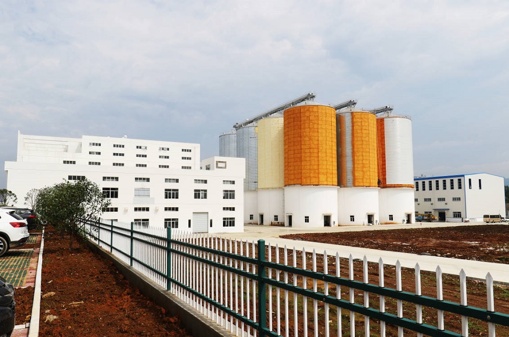 【重点项目建设进展】国宝桥米精深加工一体化生产项目投入试生产