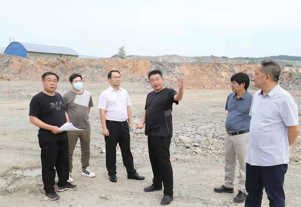 张勇调研突出环境问题整治工作