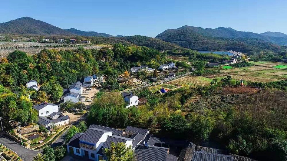 走进京山这个小山村仿佛坠入花苑神秘之境